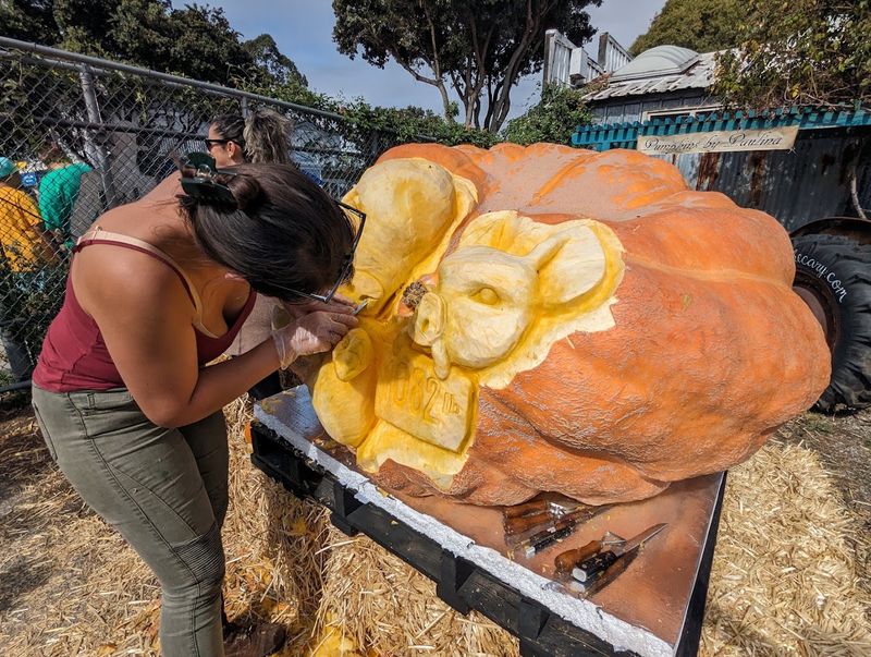 10 Of California's Strangest And Most Unforgettable Festivals You Have To See At Least Once - Decor Hint Half Moon Bay Art & Pumpkin Festival, Half Moon Bay