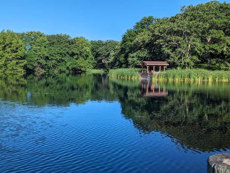 These Nebraska Areas Have Seen The Most Tick Activity This Summer - Decor Hint Platte River State Park And The Louisville Area