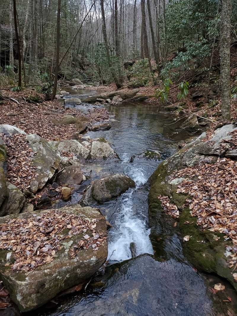 Bad Branch Falls Trail, Pine Mountain