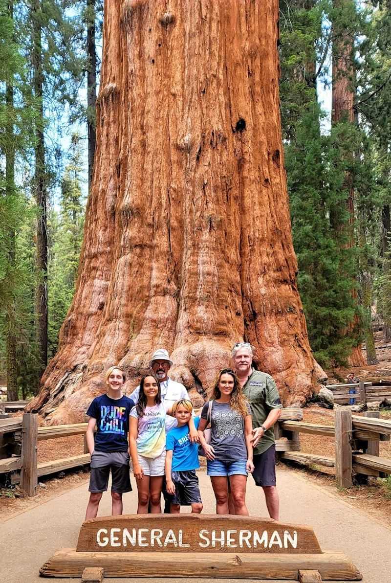 Big Enough To Rewrite Your Sense Of Scale