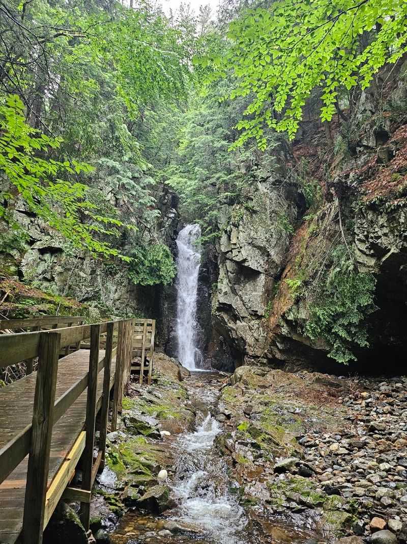 Hiking Trails Worth Every Step