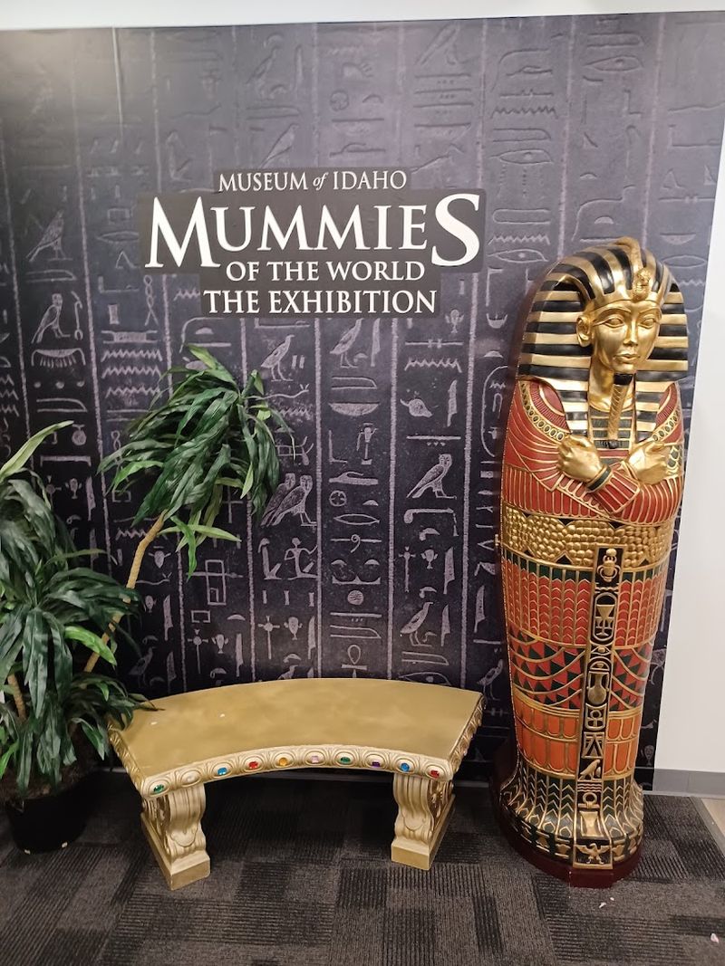 Artifacts That Tell Real Stories