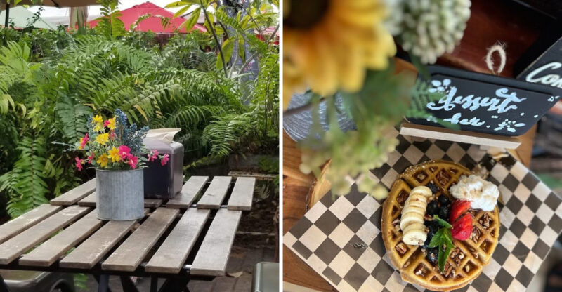Inside This Florida Cafe That Looks Like A Lush Greenhouse