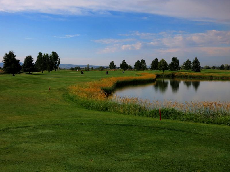 10 Idaho Outdoor Areas Where Visitors Should Stay Tick-Aware This Summer - Decor Hint Idaho Falls / Snake River And Grassy Field Areas