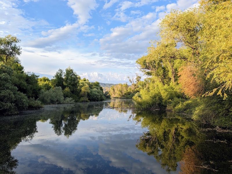 This Underrated California State Park Has Lakeside Cabins, Woodland Trails And One Of America's Best Bass-Fishing Lakes - Decor Hint The Park Covers Roughly 590 Acres