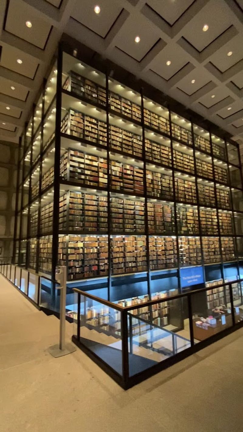 The Glass Tower Is Impossible To Ignore