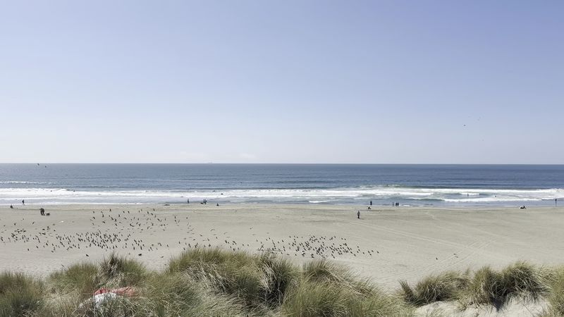 This San Francisco, California Beach Reveals A 19th-Century Clipper Shipwreck At Extremely Low Tide - Decor Hint The Ship Survived Two Mutinies And Fires