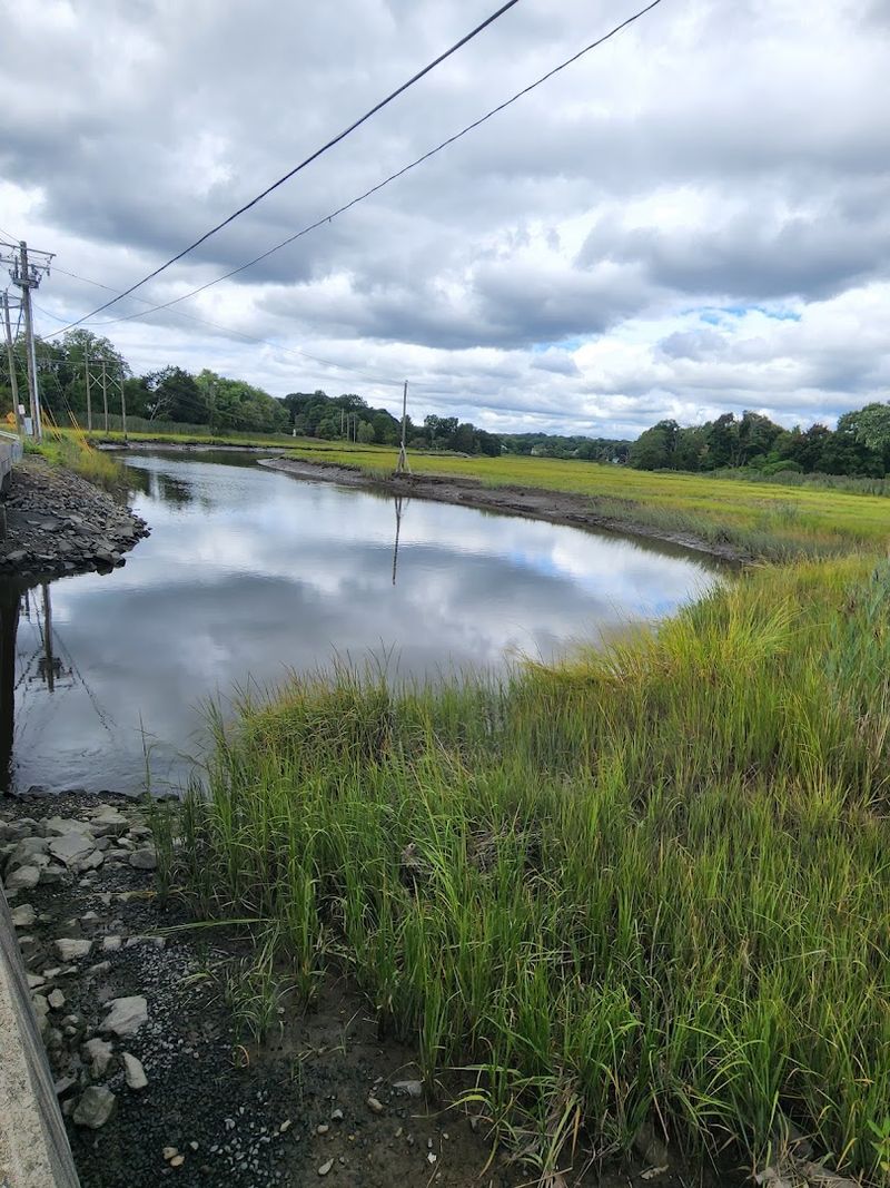 Salt Marshes And Tidal Roads