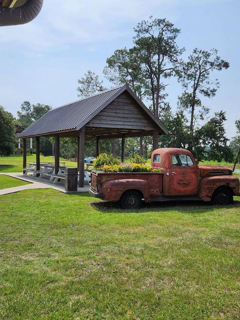 9 Sunflower Fields Throughout Georgia That Make Summer Road Trips Even Brighter - Decor Hint Rutland Farms, Tifton