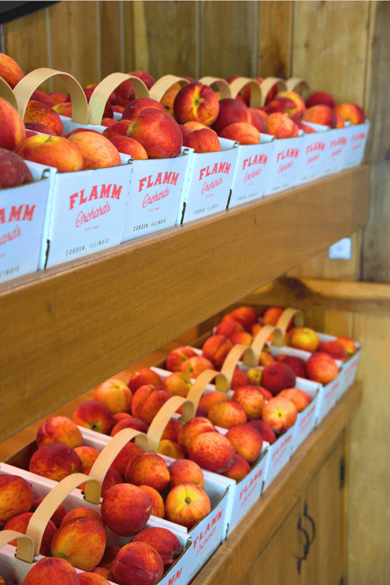 Apple Season Brings New Surprises