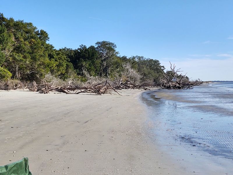 St. Andrews Beach, Jekyll Island