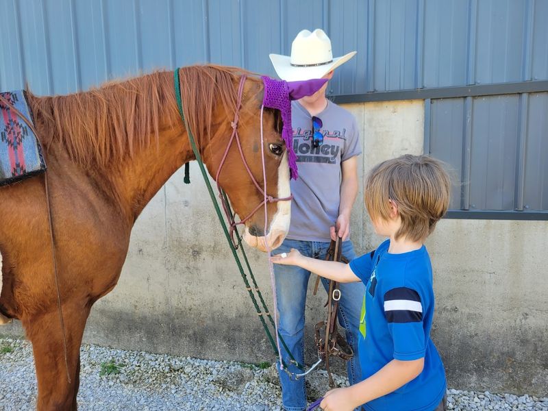 Double J Stables