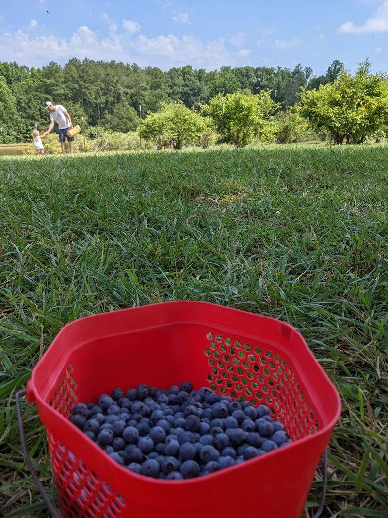 Millstone Creek Orchards