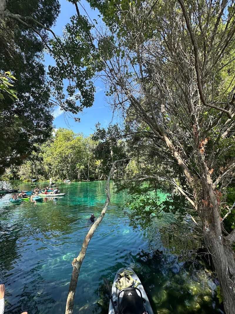 Three Sisters Springs, Crystal River