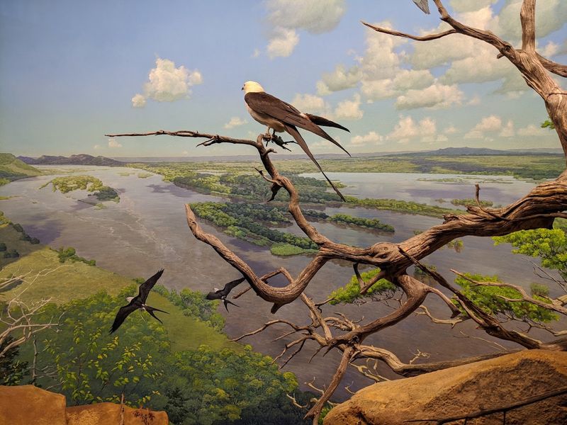 An Underrated Minnesota Planetarium Offers An Ethereal Experience - Decor Hint Outdoor Spaces And Native Gardens