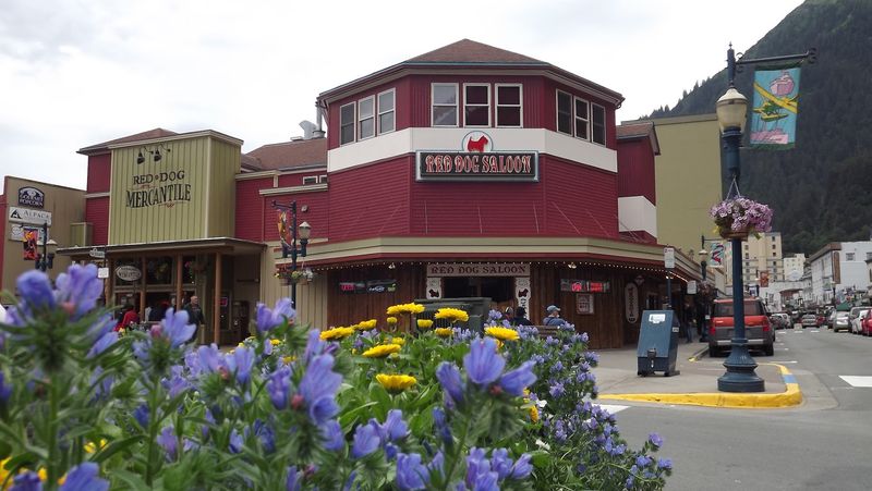 11 Fun Things To Do In Juneau, Alaska On Your Next Visit - Decor Hint Red Dog Saloon