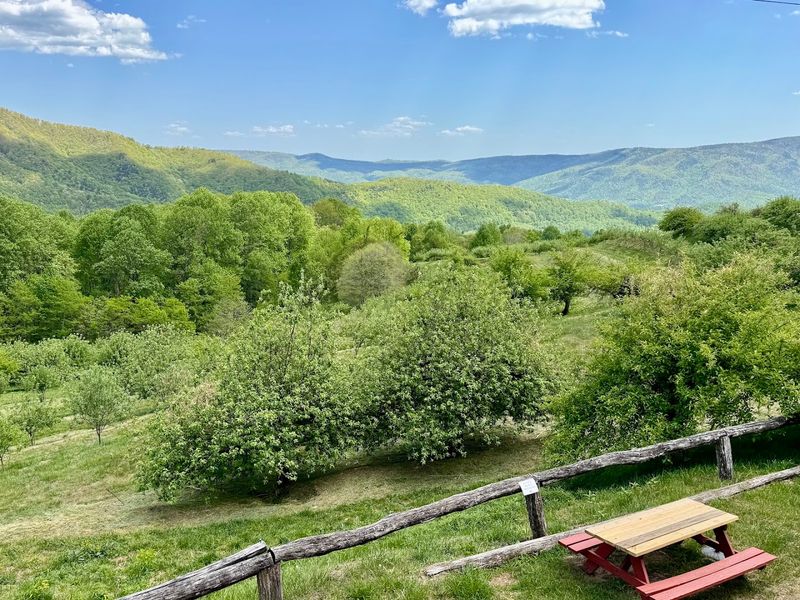 The Orchard At Altapass
