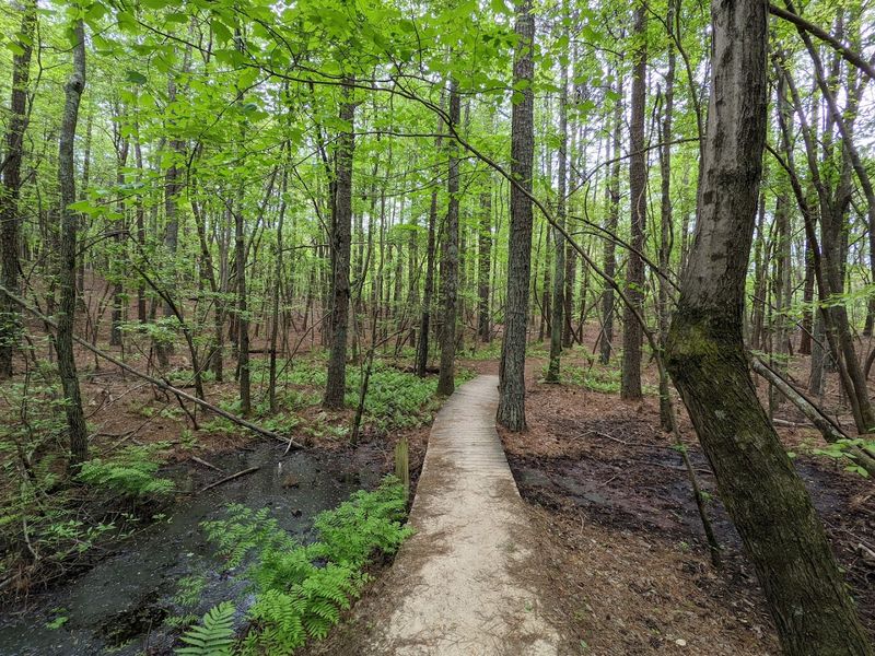 Hiking Trails With Lake Views