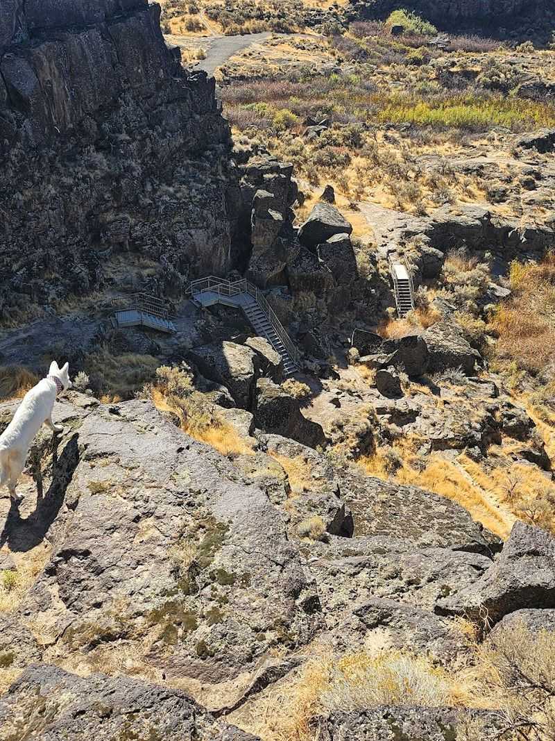 Trails, Rocks, And Wildlife