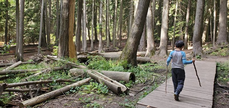 Bring The Family For A Quick Nature Reset