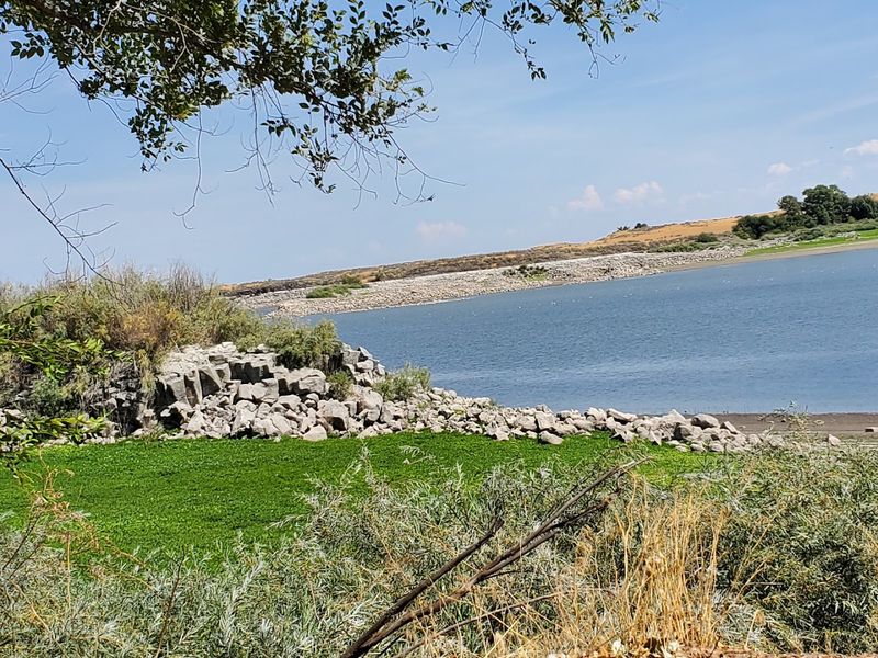 Sportsman Park Island