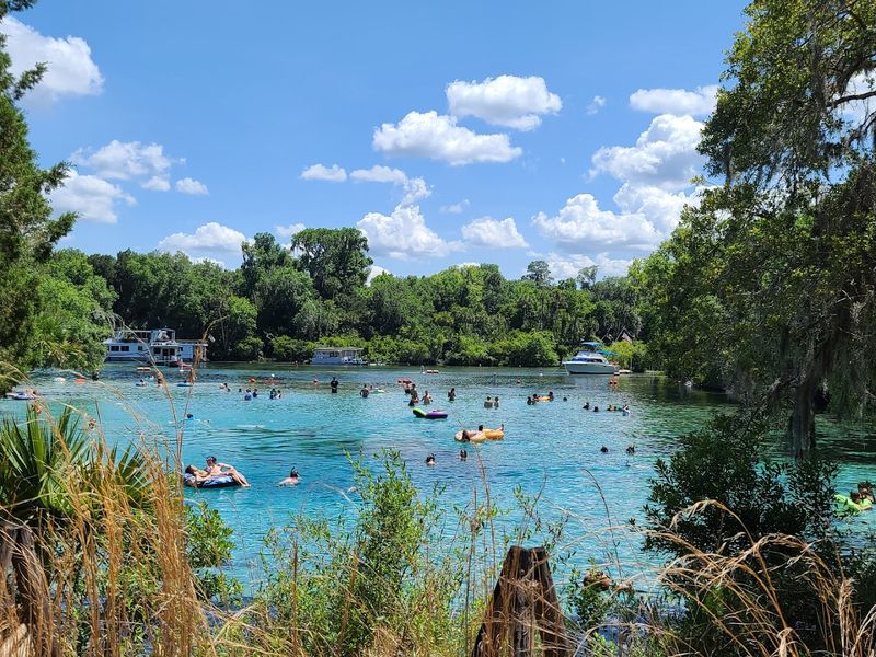 Silver Glen Springs, Salt Springs