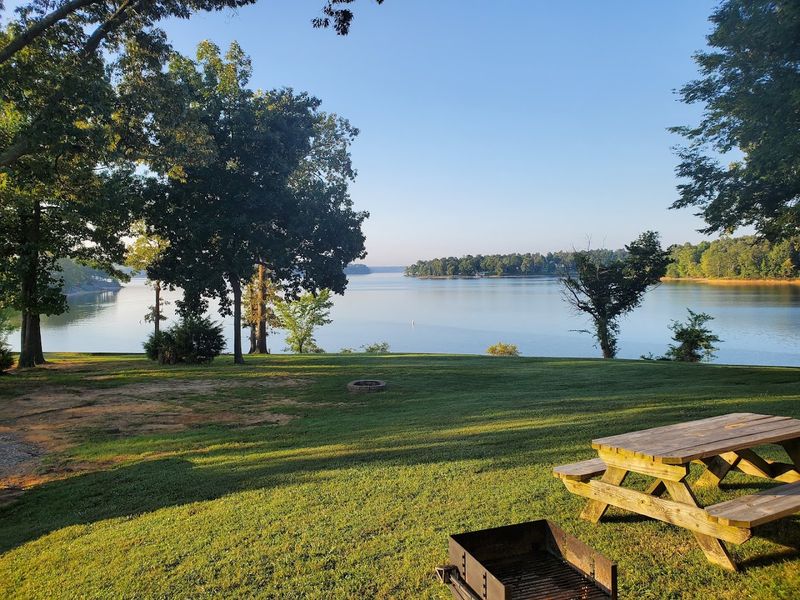 9 Kentucky Lake Parks And Waterfront Areas Your Pup Will Absolutely Love - Decor Hint Moors Resort & Marina