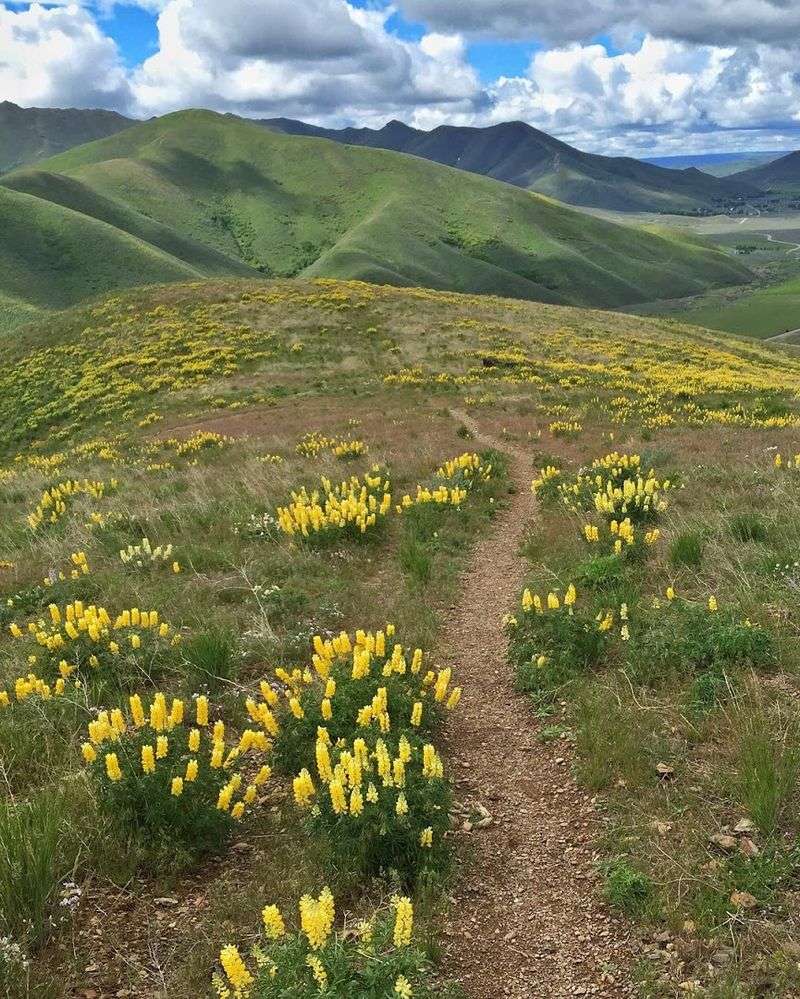8 Idaho Summer Towns That Draw Bigger Crowds Every Summer - Decor Hint Hailey