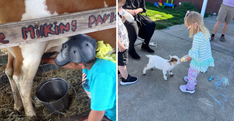 Kids Can Milk A Cow, Gather Eggs And Snuggle Baby Goats At This Kentucky Family Farm