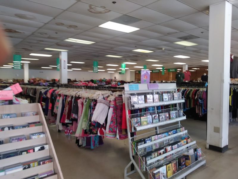 Electronics And Everyday Goods Worth Hunting For