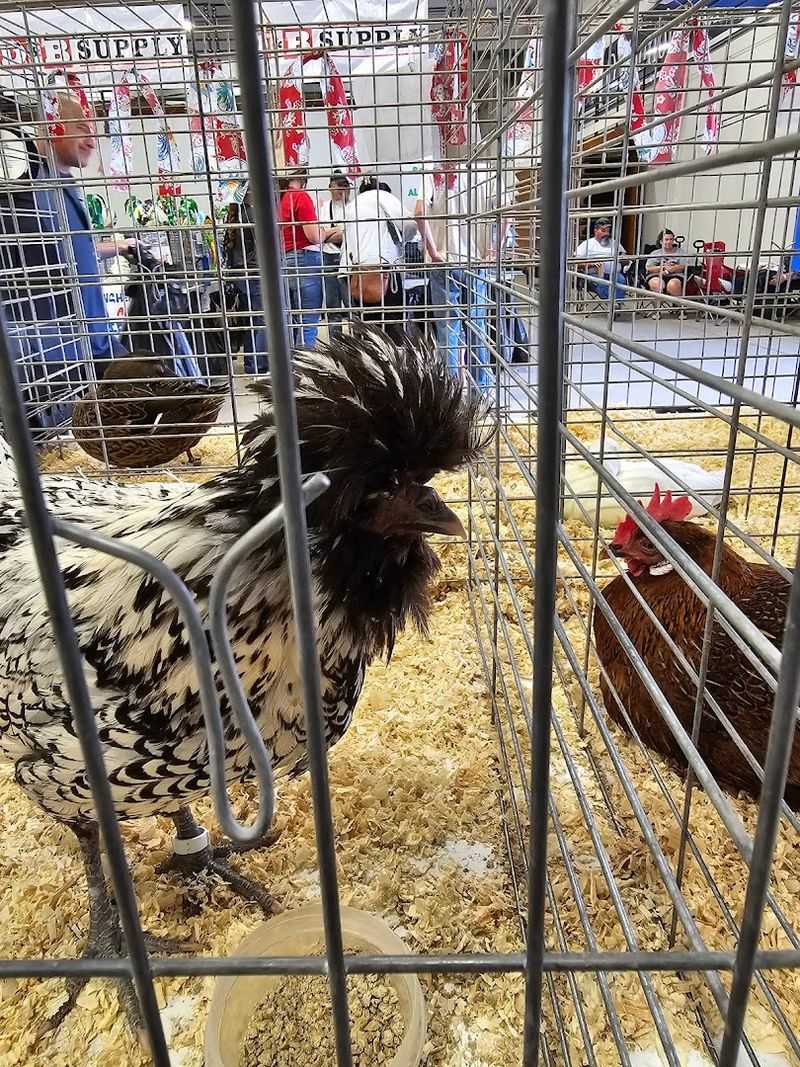 Local Exhibits Give The Weekend Its Hometown Pride