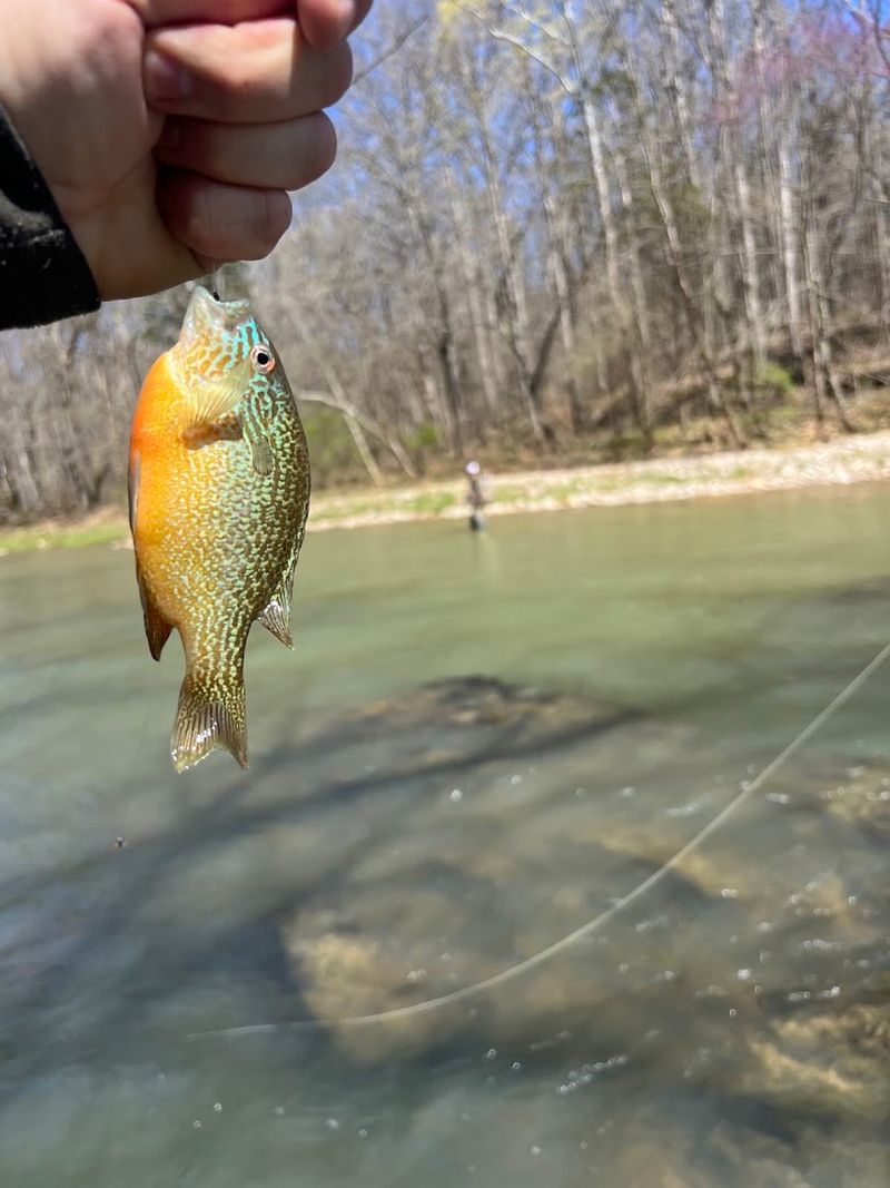 Otter Creek Outdoor Recreation Area