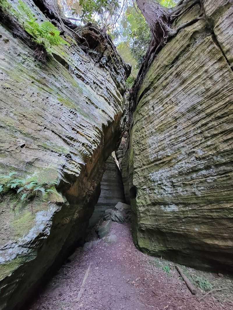 10 Kentucky State Parks So Gorgeous They Could Easily Rival National Parks - Decor Hint Carter Caves State Resort Park