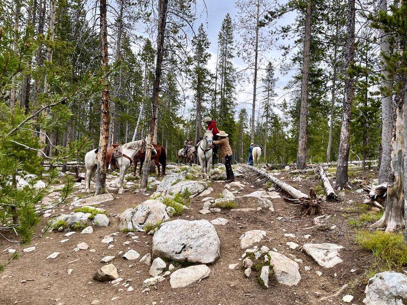 Hunting Expeditions In The Backcountry
