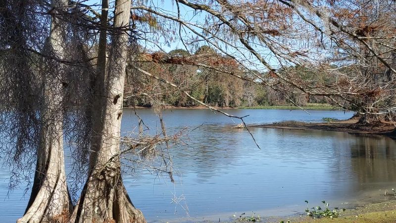 Georgia Veterans State Park Beach, Cordele