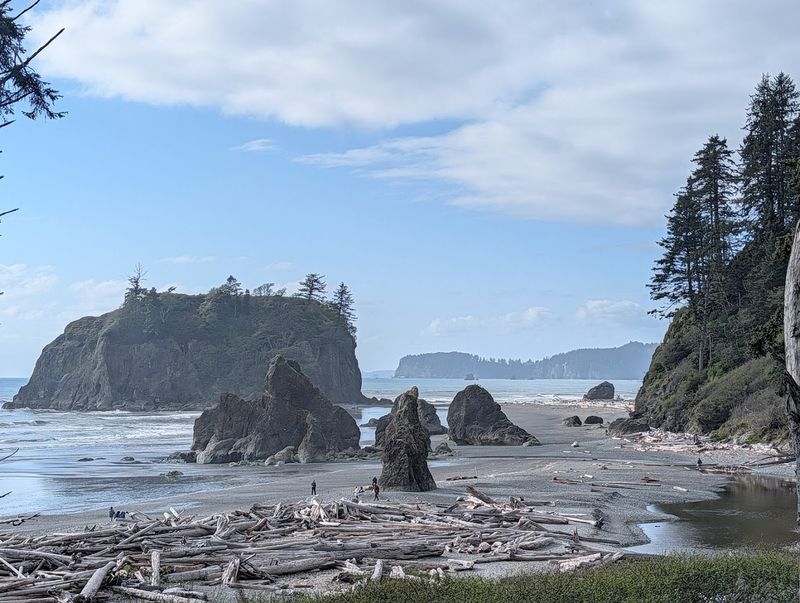 Olympic National Park, Port Angeles And Forks