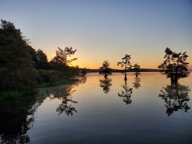 Lake D'Arbonne State Park, Farmerville