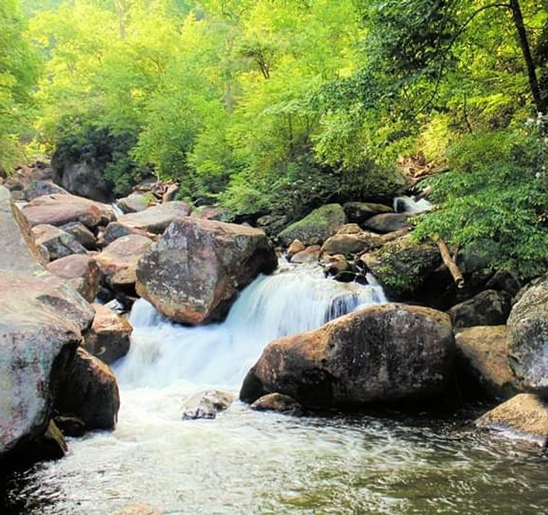 Most Travelers Speed Past This North Carolina County, Here's Why They Shouldn't - Decor Hint Waterfalls Near Sapphire Make The Drive Feel Underrated