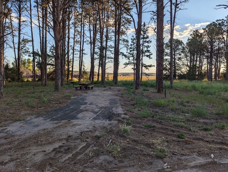 Samuel R. McKelvie National Forest, Nenzel