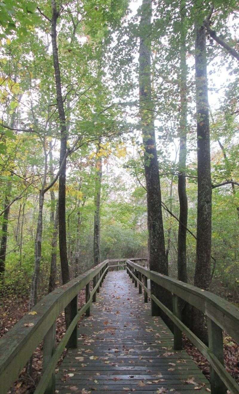 Camden Senior Trail