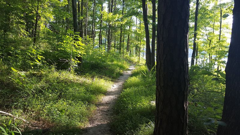 Hiking Trails Worth Every Uphill Step