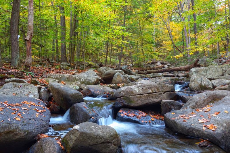 Chester And Hacklebarney State Park, Morris County