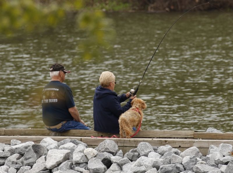 9 Kentucky Lake Parks And Waterfront Areas Your Pup Will Absolutely Love - Decor Hint Kentucky Dam Village State Resort Park