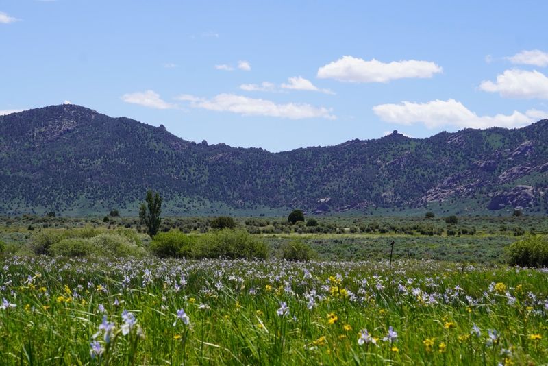 Castle Rocks State Park Trails