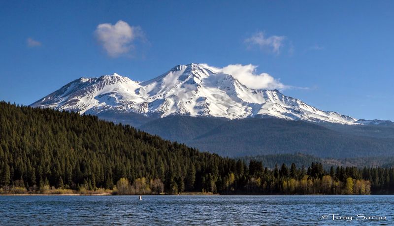 Mount Shasta City, Siskiyou County