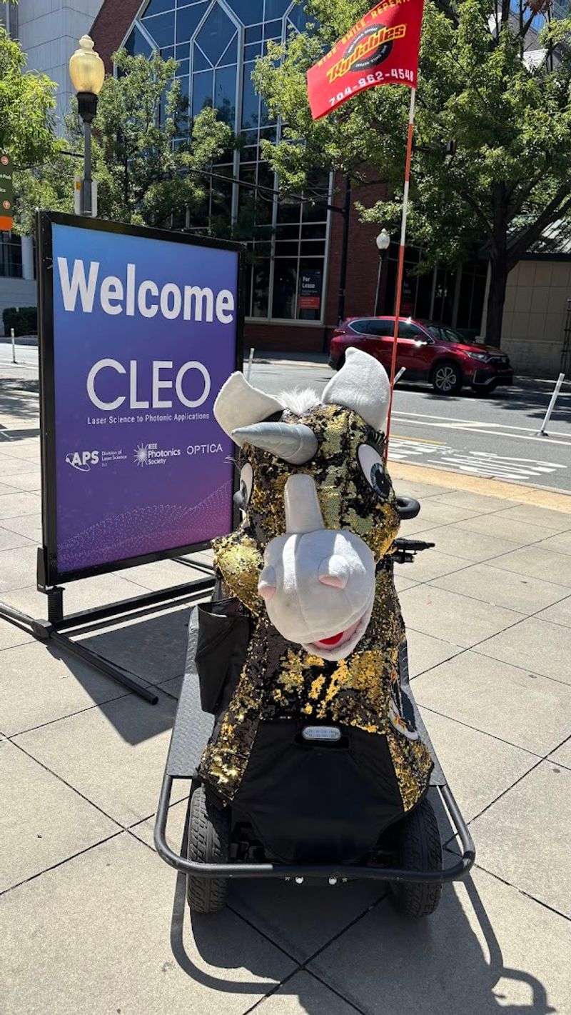 This North Carolina Tour Lets You Glide Through Uptown On Segways And Giant Motorized Stuffed Animals - Decor Hint Turn An Ordinary City Tour Into Something People Actually Remember