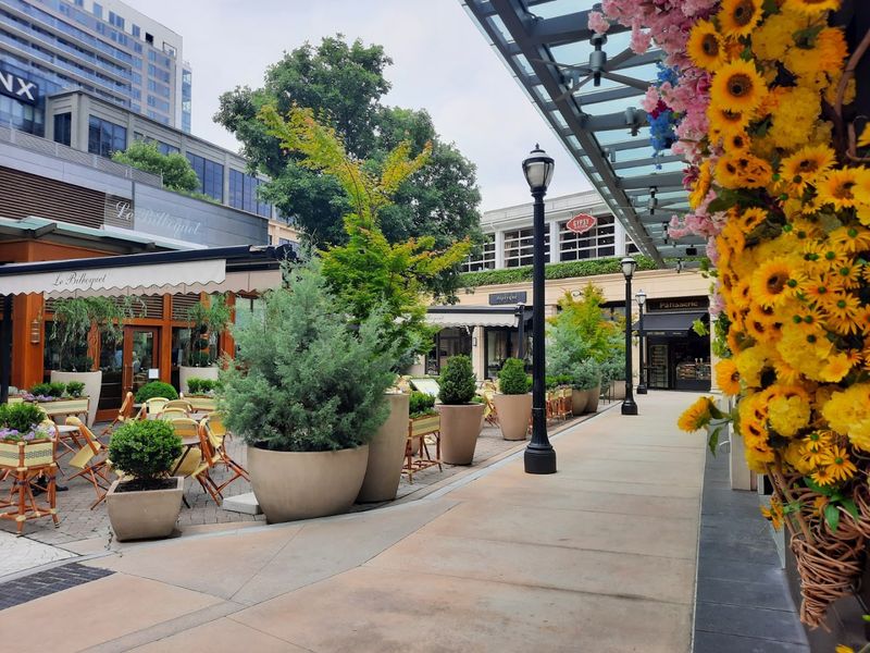 Buckhead Village