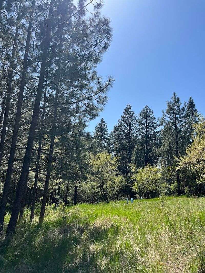 Watch The Meadow Side Change The Whole Mood