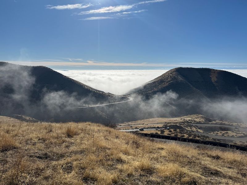This Idaho Mountain Playground Has Summer Trails, Bluebird Views, And A Coaster Flying Through The Trees - Decor Hint Pick A Hiking Trail With Big Boise Views