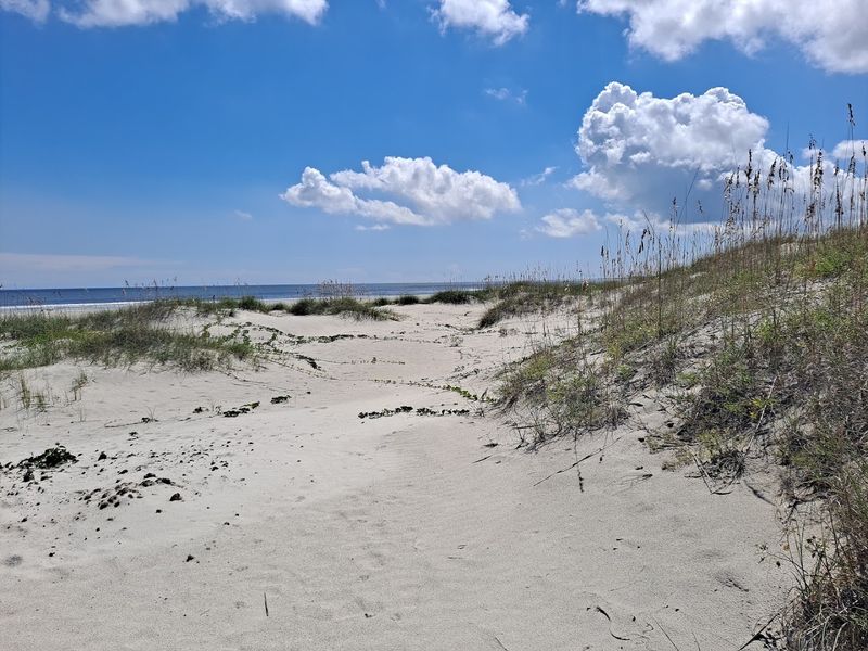 Cumberland Island National Seashore, St. Marys